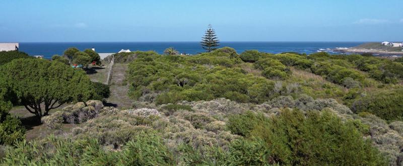 0 Bedroom Property for Sale in Kleinbaai Western Cape